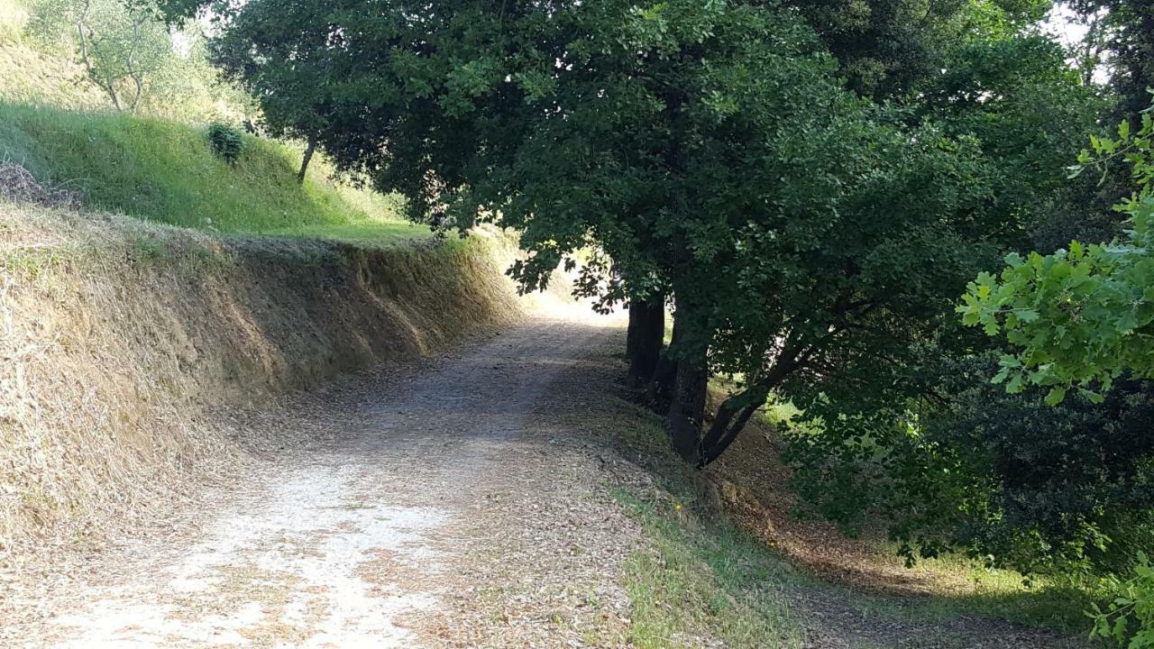 Agriturismo Le Querce Palaia Exterior photo
